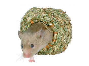 Trixie Odú Fűből Rágcsálóknak Kicsi 10cm