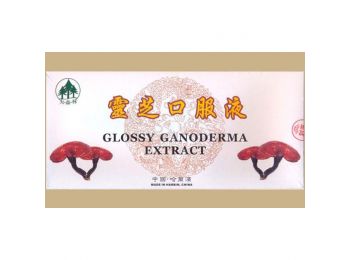 Ganoderma ampulla -Big Star-