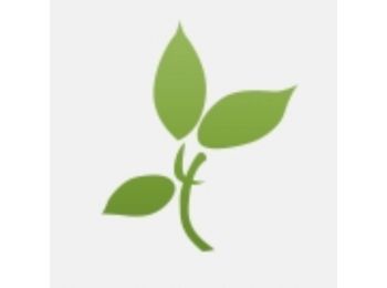 Glükozamin-szulfát, Kondroitin-szulfát és MSM speciális