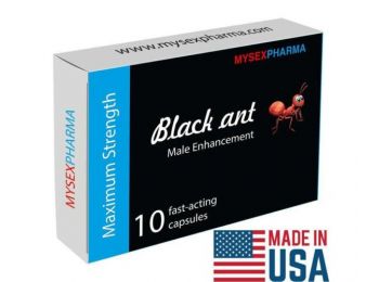 BLACK ANT - 10 DB