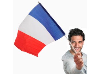 Francia Zászló Rúddal (46 x 30 cm)