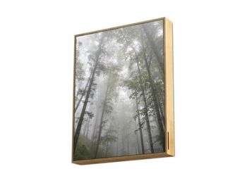 Vezeték nélküli Bluetooth Hangszóró Energy Sistem Fores