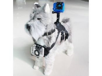 Kisállat Pánt Sportkamera Támogatással Fekete