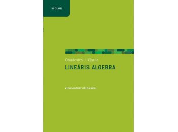 Lineáris algebra példákkal (2., javított kiadás)