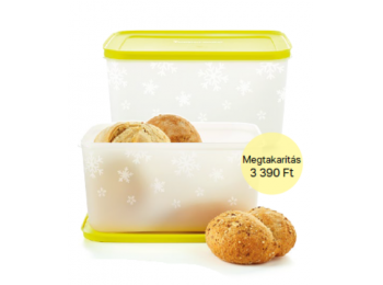 Fagyasztó Társ 2,5 L 2 db Tupperware