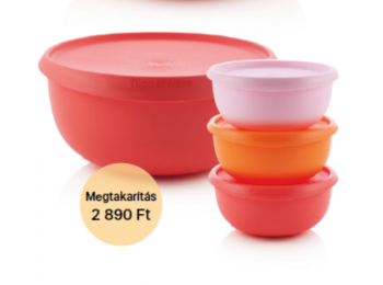 Aktív tál nyári szett Tupperware