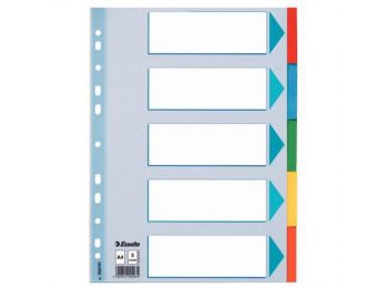 Regiszter, karton, A4, 5 részes, írható előlappal, ESSELTE Standard, színes (E100191)