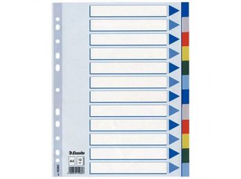 Regiszter, műanyag, A4, 20 részes, ESSELTE (E15263)