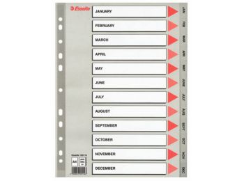 Regiszter, műanyag, A4, Jan-Dec, ESSELTE, szürke (E100114)