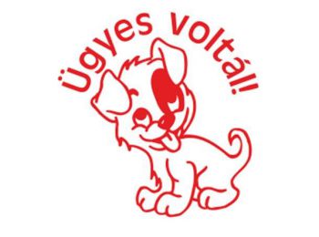 Bélyegző, motivációs, Ügyes voltál!, COLOP N43-kék, p