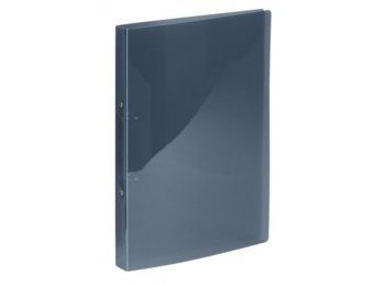 Gyűrűs dosszié, 2 gyűrű, 25 mm, A4, PP, VIQUEL Propygla