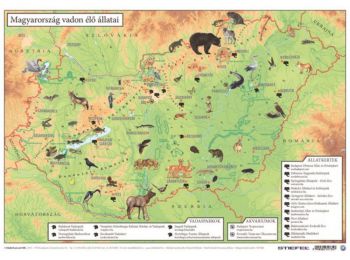 Könyökalátét, kétoldalas, A3, STIEFEL Magyarország vad