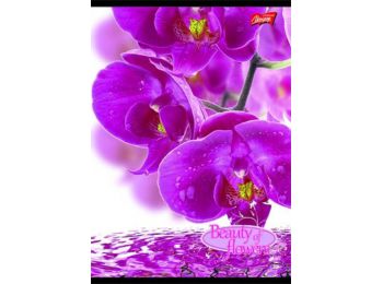 Spirálfüzet, A4, kockás, 80 lap, UNIPAP Flowers (UNFLO480