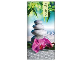 Zsebnaptár, fekvő elrendezésű, DAYLINER, Colors, zen (NC