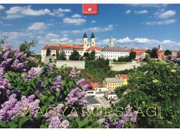 Naptár, fali, DAYLINER, Magyarország (NFAK202)