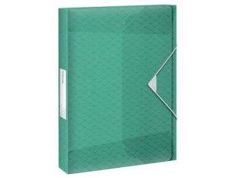 Gumis mappa, 40 mm, PP, A4, ESSELTE Colour` Ice, zöld (E626