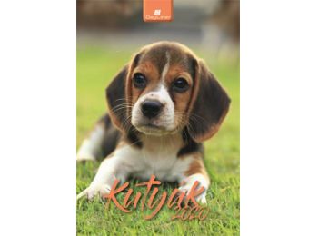 Naptár, fali, DAYLINER, Kutyák (NFAKUB4)