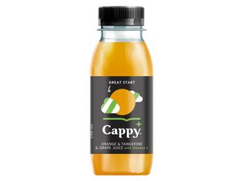Gyümölcslé, 100 százalék , 0,25l, CAPPY Cappy Plus, narancs (KHI342)