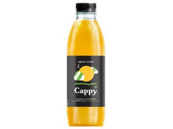 Gyümölcslé, 100 százalék , 0,8l, CAPPY Cappy Plus, nara