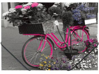 Gumis mappa, 15 mm, PP, A4, PANTA PLAST Bike (INP410006444)