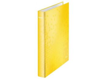 Gyűrűs könyv, 2 gyűrű, D alakú, 40 mm, A4 Maxi, karton