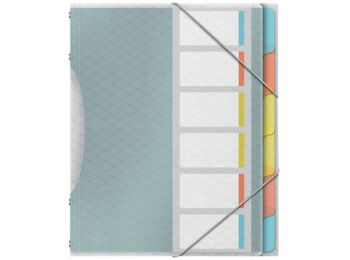 Előrendező, A4, 6 részes, műanyag, ESSELTE Colour'Ic