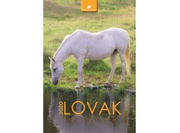 Naptár, fali, DAYLINER, Lovak (NFALOB4)