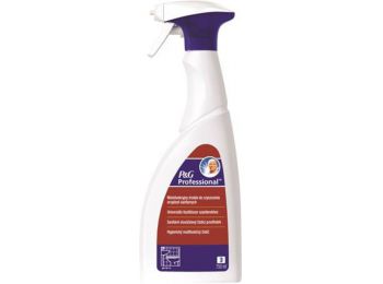 Fürdőszobai tisztító spray, 750 ml, PG PROFESSIONAL (KHT