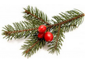 Karácsonyi illat illóolaj-parfüm keverék 20 ml