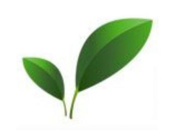 Növényi glicerin 99,5% nagy kiszerelés 500 ml - Ökokuck