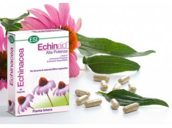 Echinacea (kasvirág) kapszula 30 db - ESI