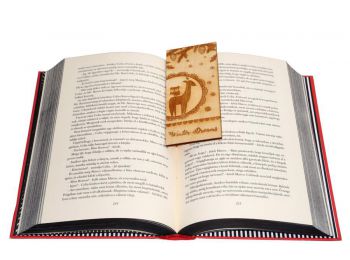 Winter dreams könyvjelző